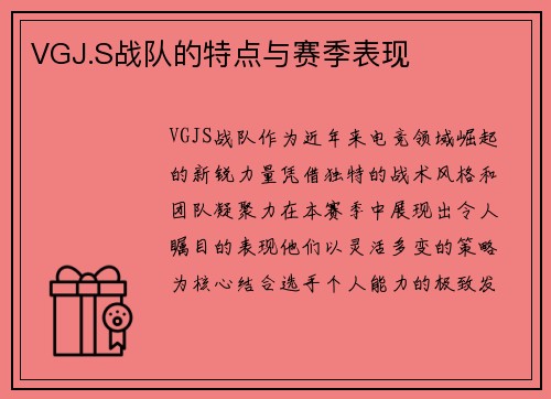 VGJ.S战队的特点与赛季表现
