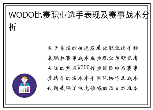 WODO比赛职业选手表现及赛事战术分析