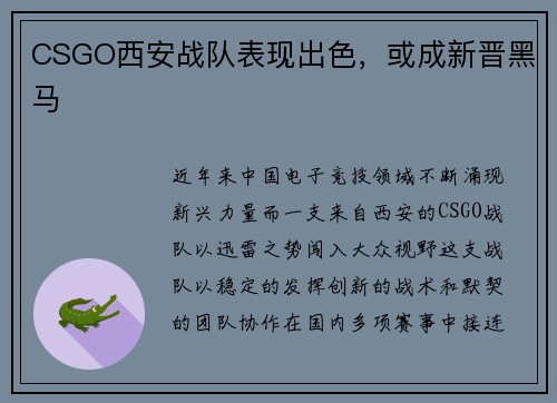 CSGO西安战队表现出色，或成新晋黑马